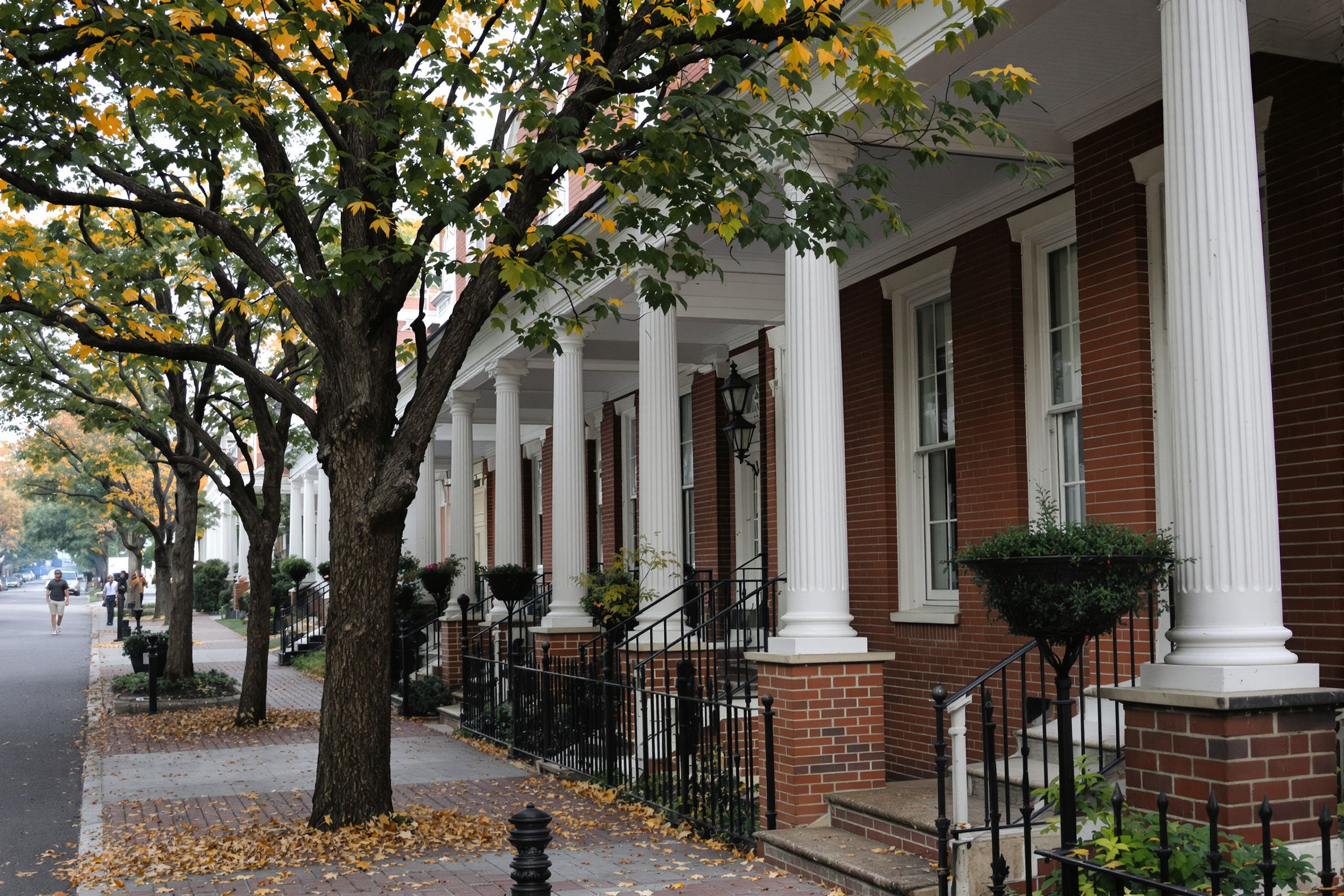Brick rowhouses with columned front porches on a tree-lined street in autumn
